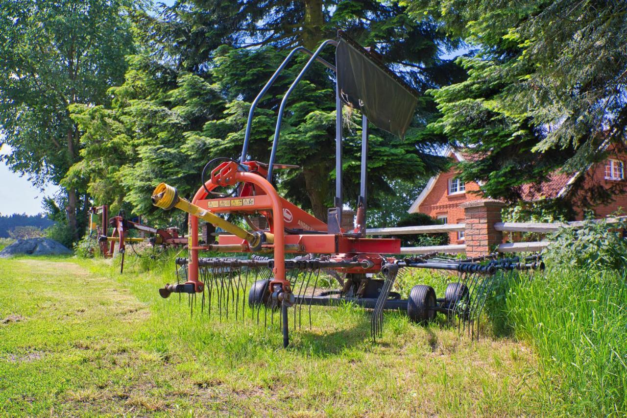 Bauernhofurlaub Bei Familie Bokeloh Βίλα Kirchlinteln Εξωτερικό φωτογραφία